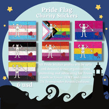 Load image into Gallery viewer, OFMD Pride Flag Charity Stickers